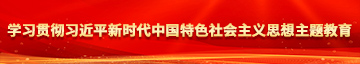 直播焯逼软件学习贯彻习近平新时代中国特色社会主义思想主题教育